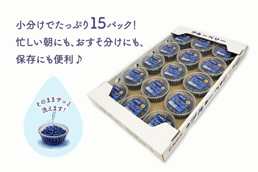 広島県産ブルーベリー 1.5kg（100g×15パック）: 広島とれたて元気市