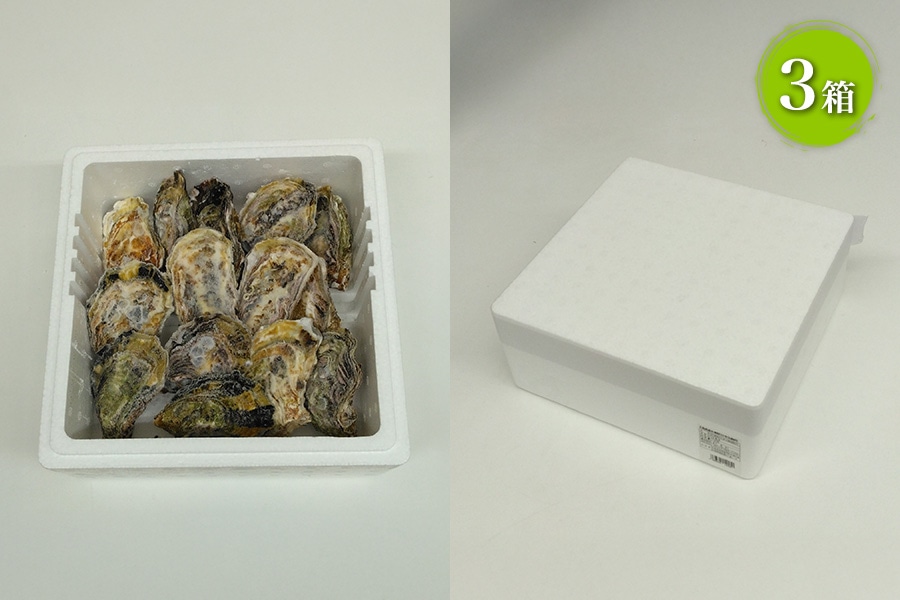 なかき 冷凍殻付かき（14個入×3）: 広島とれたて元気市|【JAタウン】産地