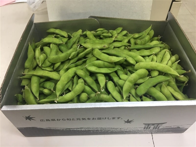 えだまめ ニチレイフーズ えだまめ 500g ( 枝豆 / おつまみ ) [ 4902130359552