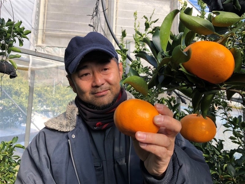 2438さん専用2箱‼️SP超!中島ピカせとか約5kg4500円50 ブレイクパック | 商品紹介 | KATASHIMA パティスリー＆カフェ カタシマ