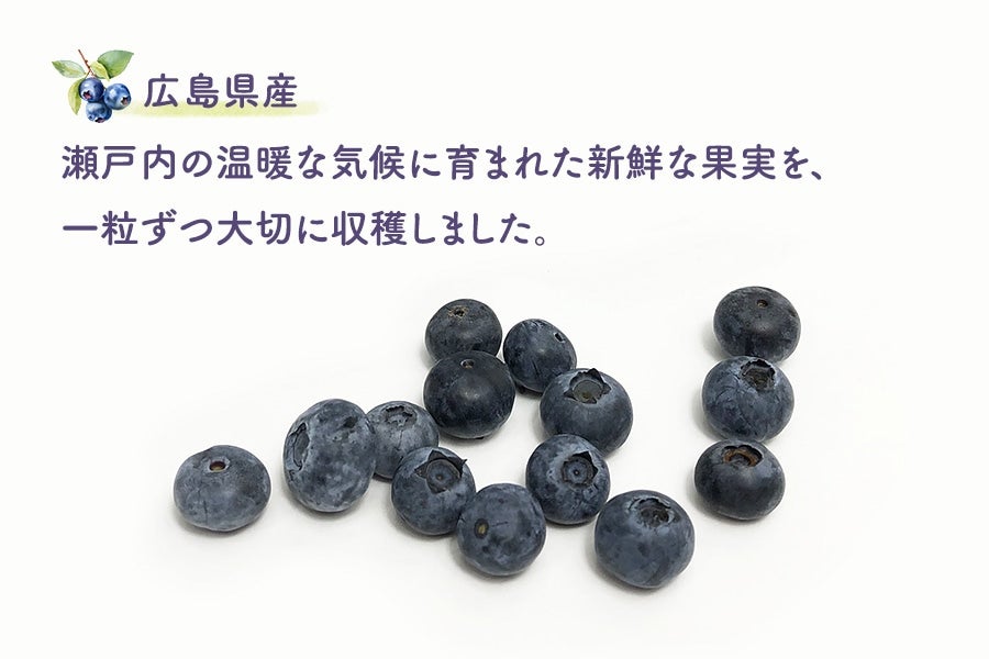 広島県産ブルーベリー 1.5kg（100g×15パック）: 広島とれたて元気市