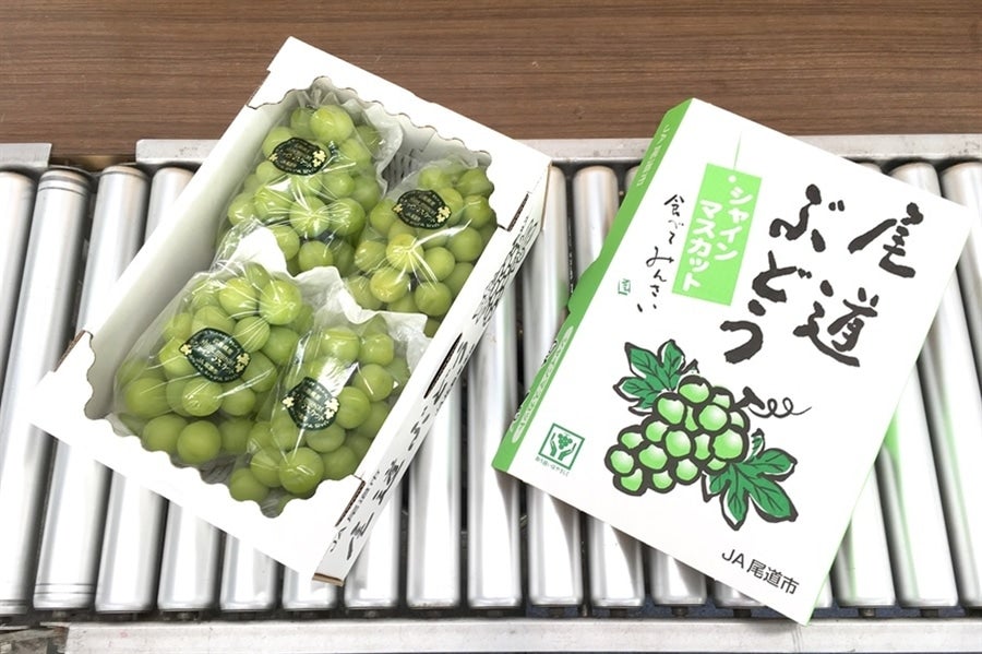 シャインマスカット（尾道ぶどう） クール冷蔵: 広島とれたて元気市