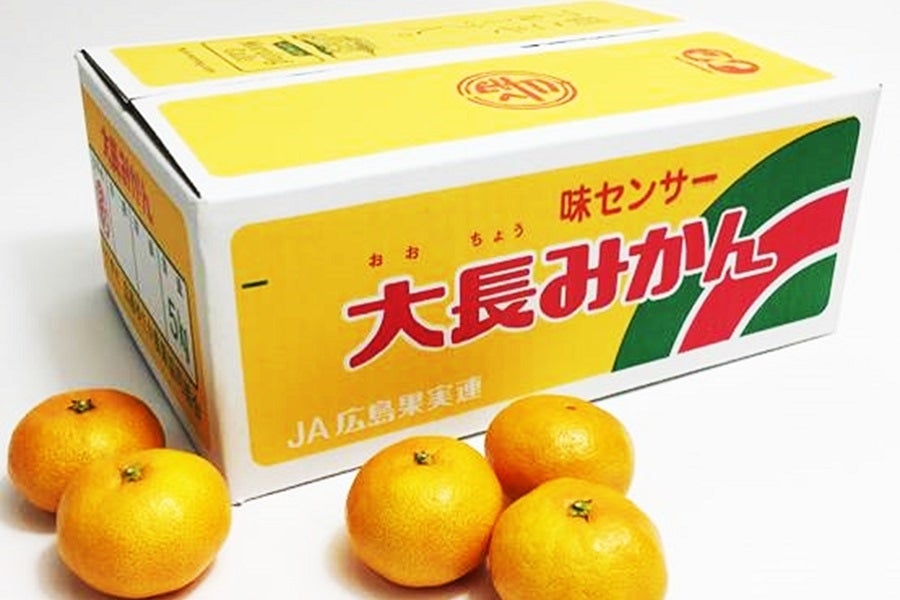 大長みかん 5kg: 広島とれたて元気市|【JAタウン】産地直送 通販 お