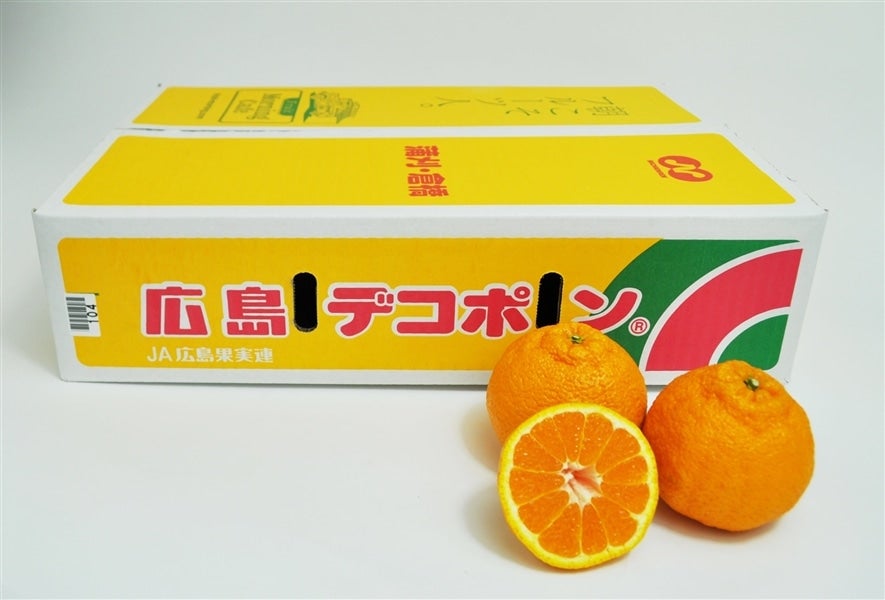 広島県産デコポン: 広島とれたて元気市|【JAタウン】産地直送 通販