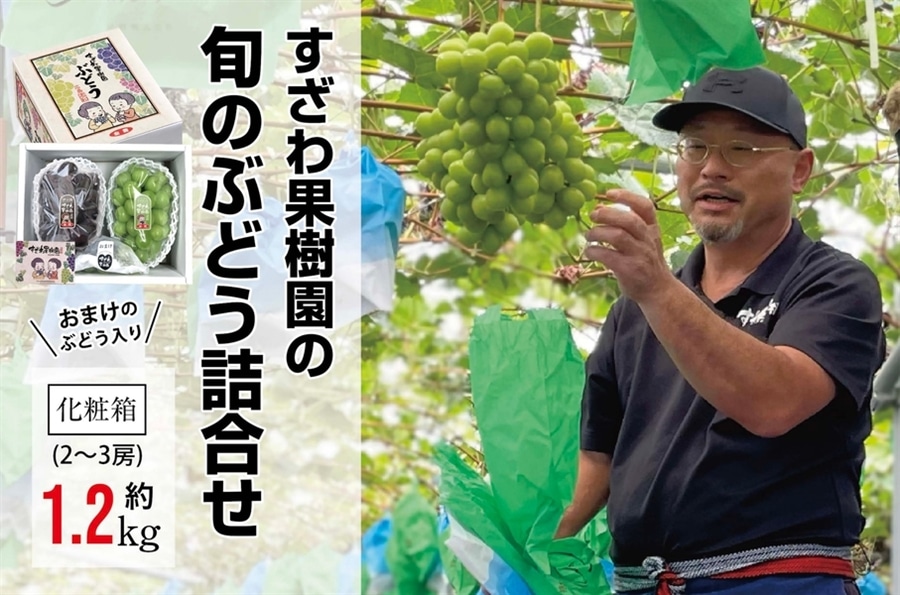 すざわ果樹園 旬のぶどう詰め合わせ1.2kg箱: 広島とれたて元気市