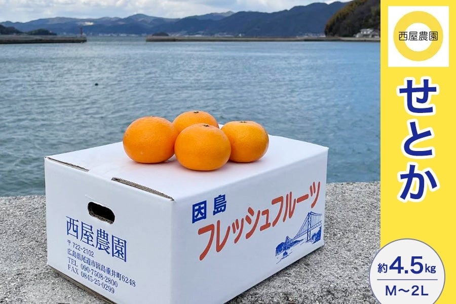 ビビちゃん　瀬戸田産　秀品セトカ　箱込み5kg 広島県瀬戸田もりの農園 せとか 5kg 【2月中旬～3月下旬