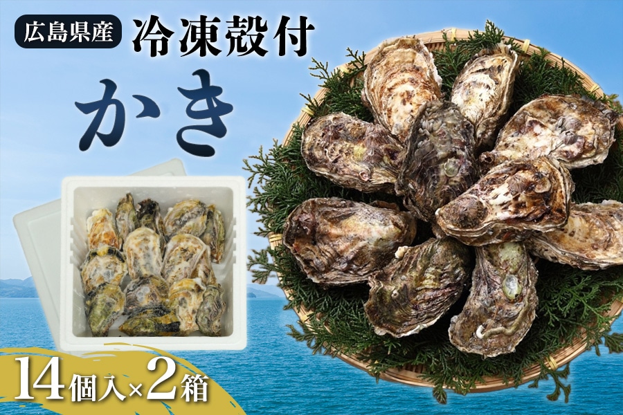 香川県産牡蠣殻(簡易洗浄/天日干し) 水質浄化 新品未使用 30kg 冷凍殻付かき（14個入×2）: 広島とれたて元気市|【JAタウン】産地