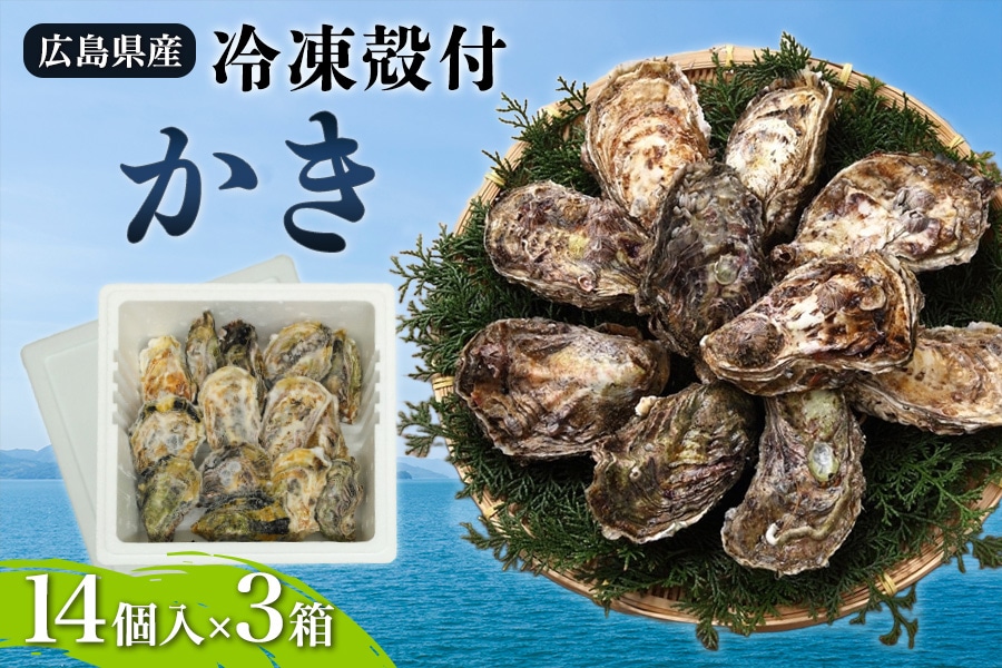 なかき 冷凍殻付かき（14個入×3）: 広島とれたて元気市|【JAタウン】産地