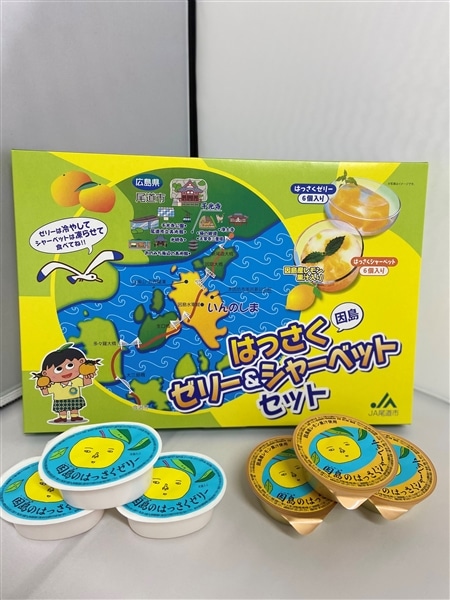 お歳暮】はっさくゼリー＆シャーベット詰め合わせセット 【ええじゃん