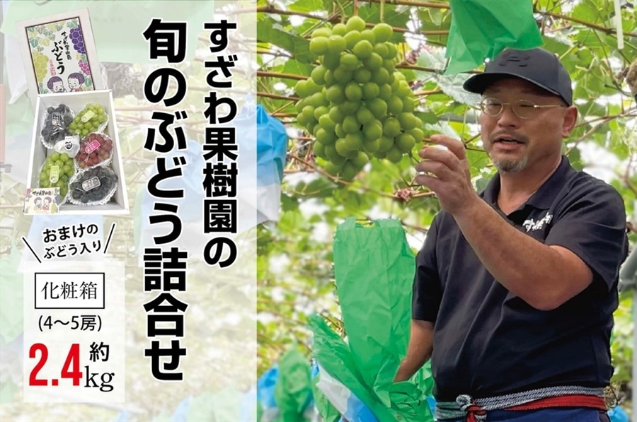 専用　ぶどう すざわ果樹園 旬のぶどう詰め合わせ2.4kg箱: 広島とれたて元気市