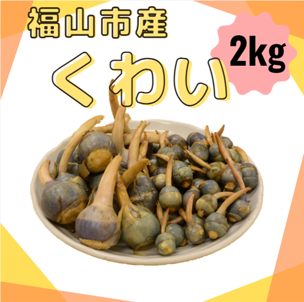 写真は左:Lサイズ、右:2Sサイズです