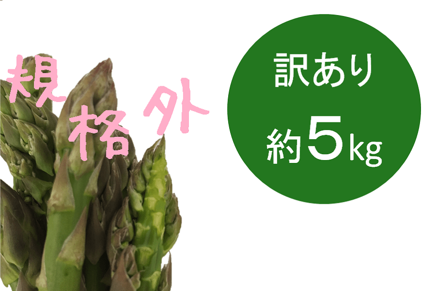 送料無料 北海道 十勝産 アスパラガス 1kg サイズ不問 約40 60本 家庭用 規格外 お早めに 産地直送 アスパラ 野菜 グリーンアスパラ お土産 プレゼント Sale 64 Off