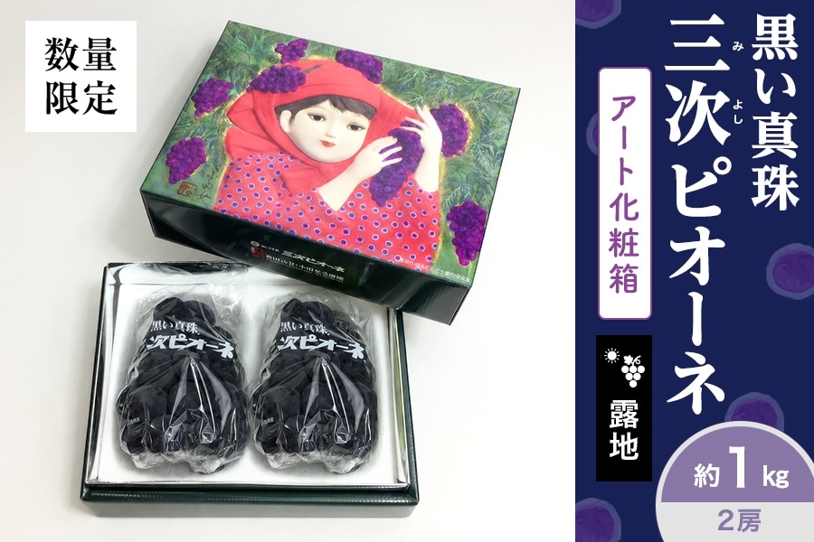 希少  黒 ジャスパー 葡萄文 ボンボニエール 丸型 1971年 黒い真珠」三次ピオーネ アート化粧箱 約1kg（2房入り）露地栽培: 広島