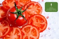 �L�����]�c���Y�@�L���O�g�}�g�i28-35�ʓ��j