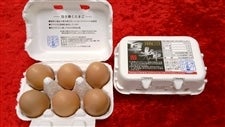 広島県産鶏卵「煌輝」5パック