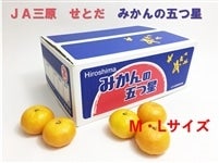 LYǔ݂܂v@5kg@MEL