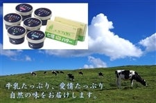 広島県産　七塚バターと選べるアイスセット