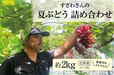 ぶどう様専門ページ すざわさんの夏ぶどう 詰め合わせ2㎏箱（3～5品種）: 広島とれたて