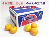 とろける甘さの 瀬戸田産 5㎏箱入 プチみかん いしじ g-w-seto_01.jpg
