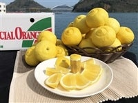 �L�����Y�͂邩�@��5�s�i�l�`�Q�k�j