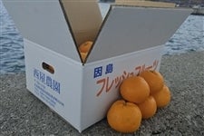 �����_���@�y�͂�݁z�@��4.5����