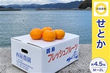 �����_���y���Ƃ��z��4.5kg�iM�`2L�j