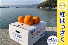  �����_���y�g�͂������z��4.5kg�iM�`2L�j