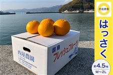 �����_���y�͂������z��4.5kg�iM�`2L�j