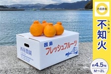 �����_���y�s�m�΁z��4.5kg�iM�`2L�j