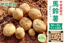 �b��_���̔n�鏒�@��3kg�@M�`2L�T�C�Y����
