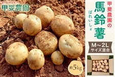 �b��_���̔n�鏒�@��5kg�@M�`2L�T�C�Y����