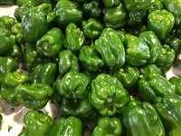 ピーマン NEW新鮮パック ピーマン 1 | すべての商品 | 精工オンラインショップ