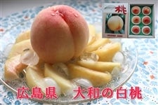 a̔iUʓj@@@@ɂI