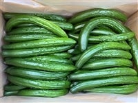 業務用】広島県江田島産 きゅうり: 広島とれたて元気市|【JAタウン
