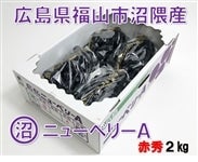 GԂǂ@j[x[`@ԏG2kg@gli8/21`9/20oׁj