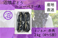 GԂǂ@j[x[`@ԏG2kg@gli8/21`9/20oׁj