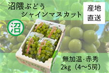 GԂǂ@VC}XJbg@ԏG2s@i8/21`9/6oׁj@ɂI