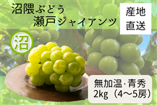 GԂǂ@˃WCAc@G2s@i8/21`8/31oׁj@ɂI