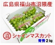 GԂǂ@VC}XJbg@G2s@i8/21`9/6oׁj@ɂI