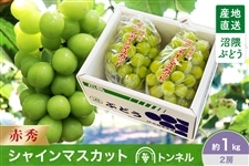ぶどう|【JAタウン】産地直送 通販 お取り寄せ