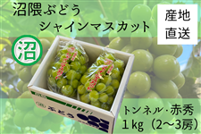 GԂǂ@VC}XJbg@ԏG1s@gli9/10`9/20oׁj