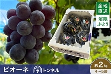 ���G�Ԃǂ��@�s�I�[�l�@�����2kg�i4�`5�[�j�g���l���i8/20�`9/6�o�ׁj