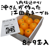 yΕz񂪍]cl[u@W`Xʓ@1130`\