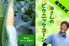  ̍LYƂ낱isNjbNR[jRs