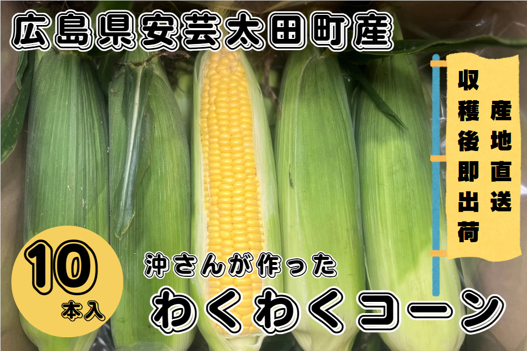 ̍LYƂ낱i킭킭R[jPO{