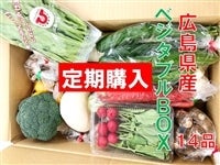 【定期購入】広島県産 ベジタブルBOX　 14品詰合せ