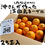 �����񂪍�����]�c���l�[�u���@25�ʓ�