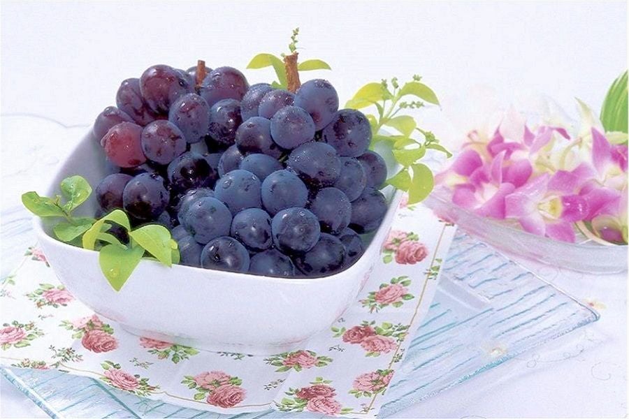 あゆみ農園]「須金ぶどう 詰合せ (二種以上)」 9/5(金)頃～順次発送