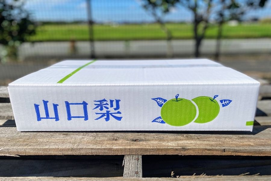 幸水(こうすい)梨」 約5kg: 正直やまぐち|【JAタウン】産地直送 通販