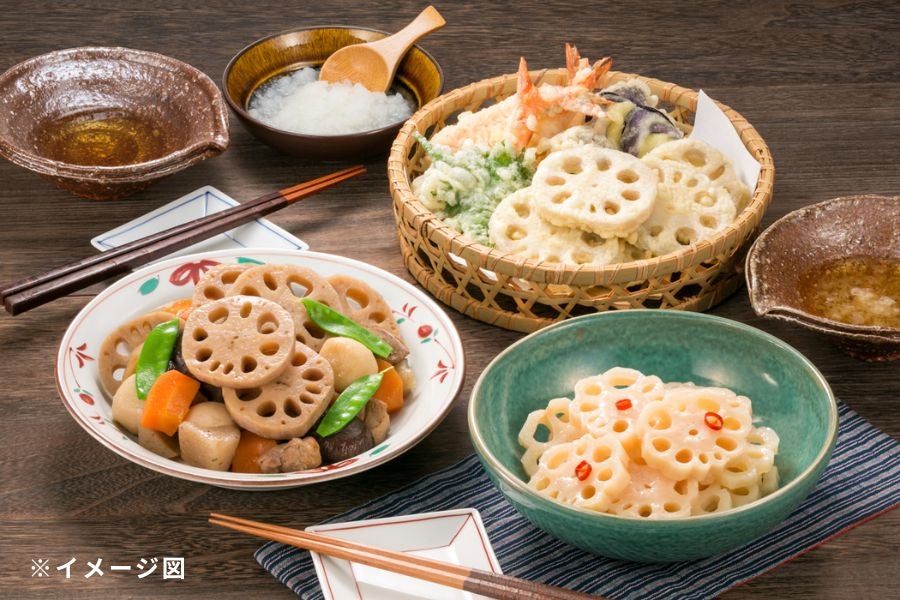 お歳暮 うまもん 堆肥栽培「岩国生れんこん」